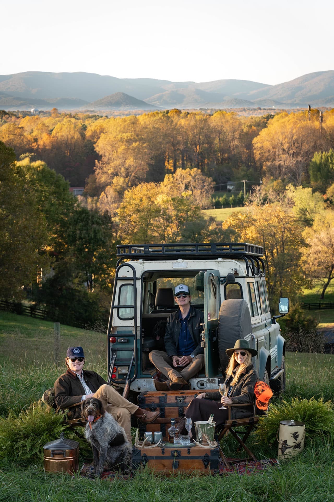 Albemarle County country property — pasture and tree line at the foot of the Blue Ridge