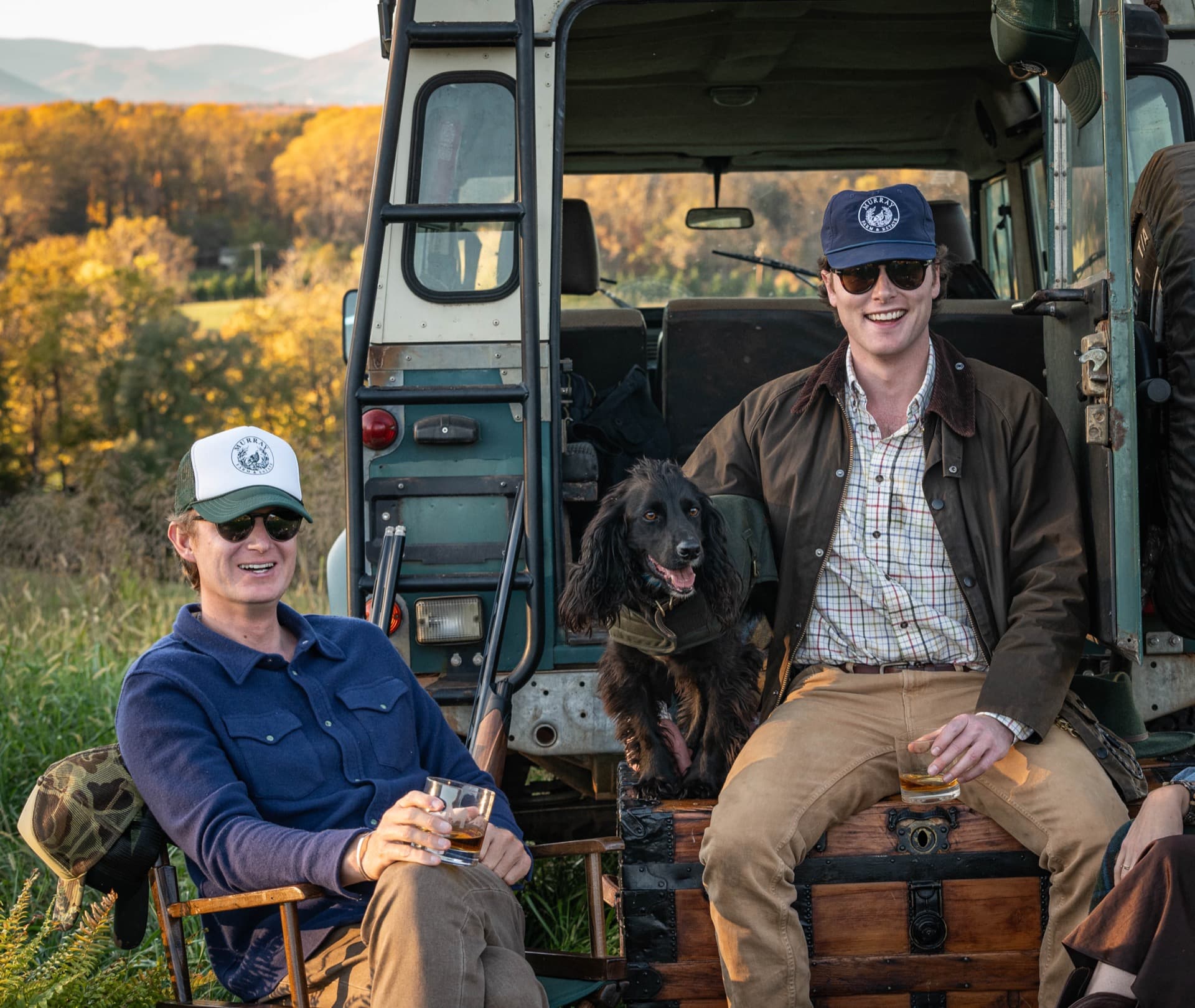 Open pasture and tree line in the Virginia Piedmont — Albemarle County country property