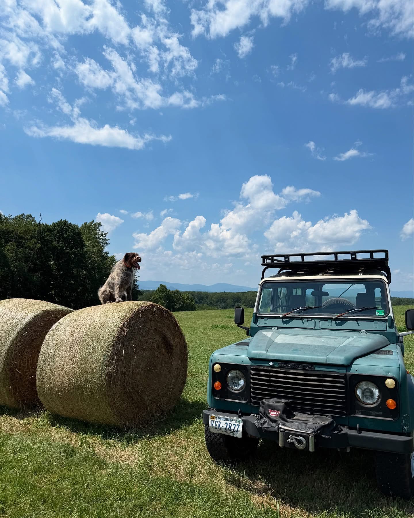 Greene County, Virginia — country landscape representing the region
